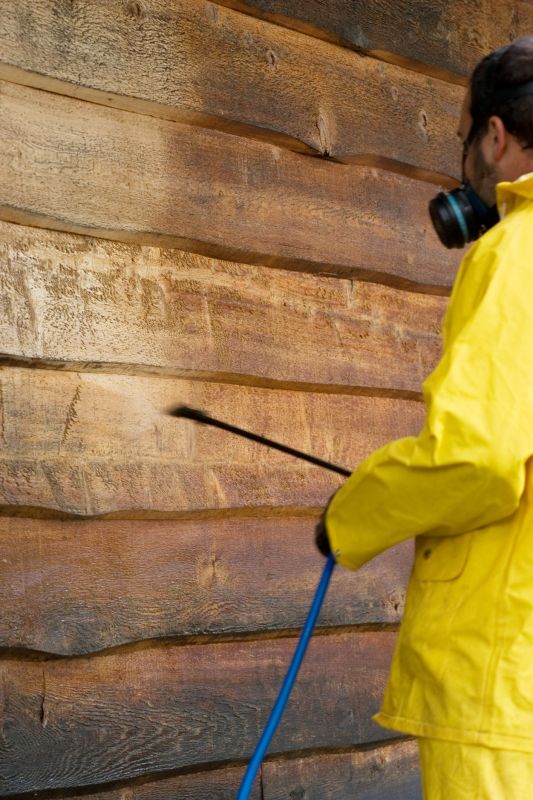 Home Siding Cleaning